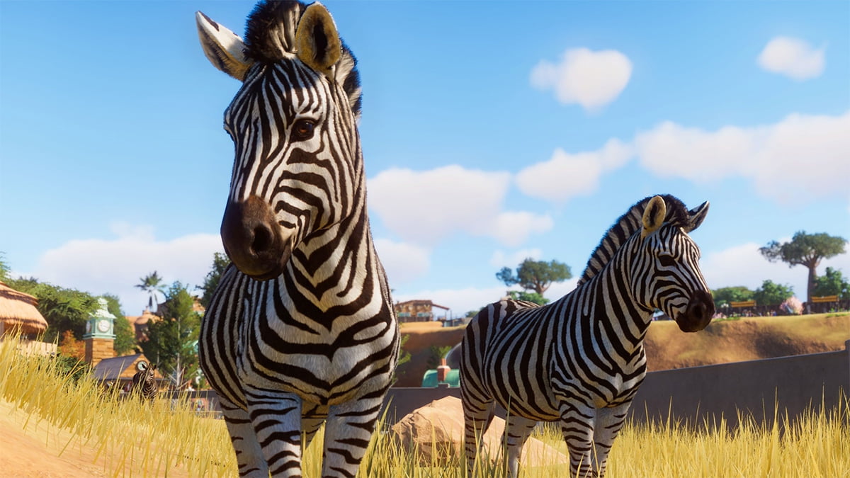 Planet Zoo - Spreadsheet Safari - zebre