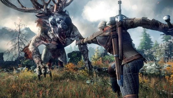 Witcher 3 Wild Hunt