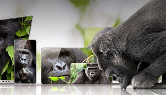 Gorilla Glass Victus