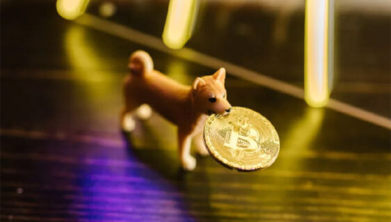 Shiba Inu Coin kriptovaluta