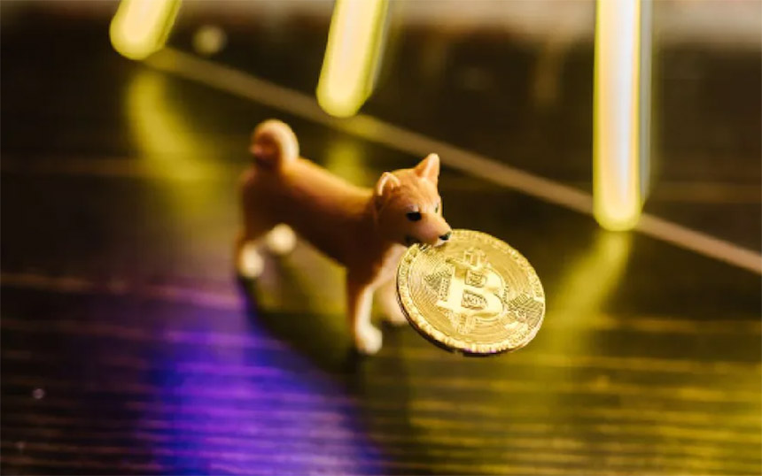 Shiba Inu Coin kriptovaluta