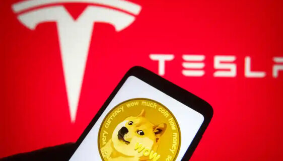 Tesla Dogecoin