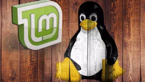 Linux Mint Debian Edition 5