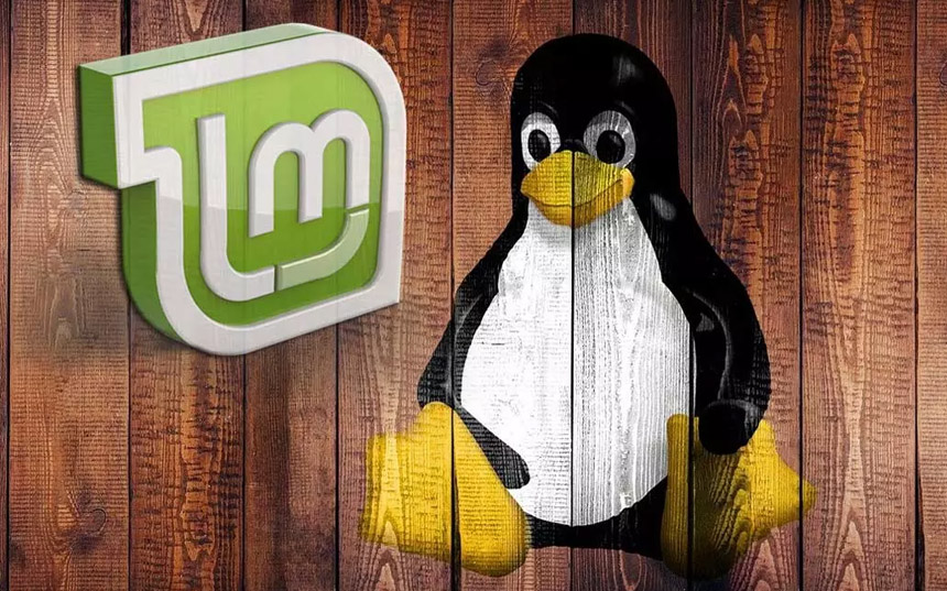 Linux Mint Debian Edition 5