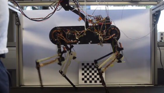 Pas robot sa virtuelnom kičmenom moždinom naučio da hoda za samo pola sata