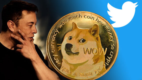 twitter doge