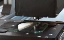 Prvi riblji file uzgojen u laboratoriji pomoću tehnike 3D štampanja
