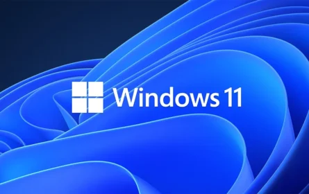 Windows 11