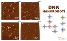 Napravljeni DNK nanoroboti sposobni da se samorepliciraju