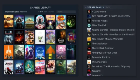 Steam Family Share