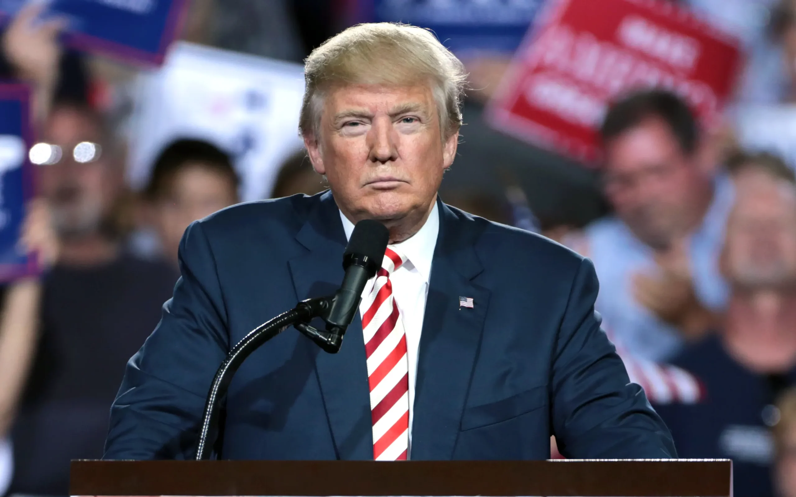 donald tramp (wikimedia)