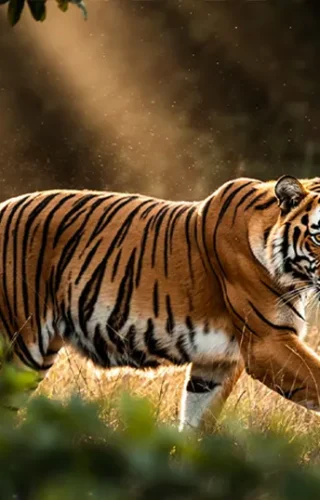 FLUX.2 AI generator slika donosi fotorealizam i napredne mogućnosti uz NVIDIA optimizacije