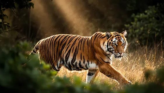 FLUX.2 AI generator slika donosi fotorealizam i napredne mogućnosti uz NVIDIA optimizacije