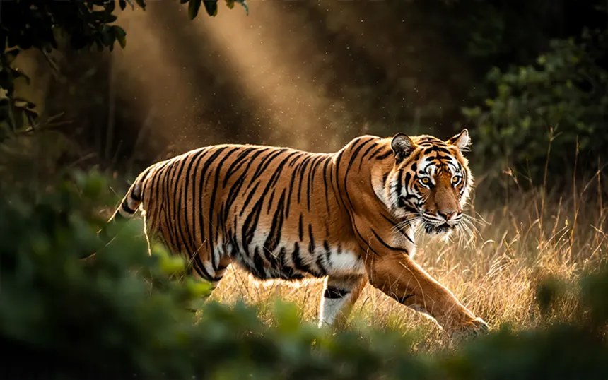 FLUX.2 AI generator slika donosi fotorealizam i napredne mogućnosti uz NVIDIA optimizacije