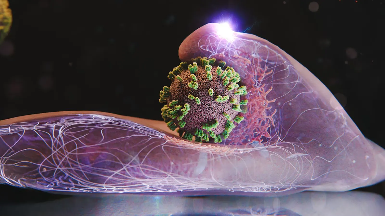 snimak žive ćelije i živog virusa u trenutku sudara